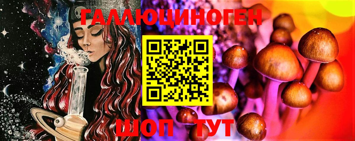Псилоцибиновые грибы GOLDEN TEACHER Сердобск